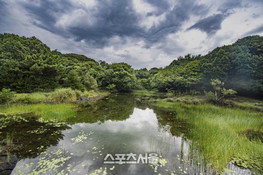 스포츠서울