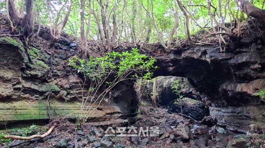 스포츠서울