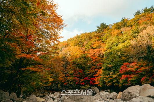 스포츠서울