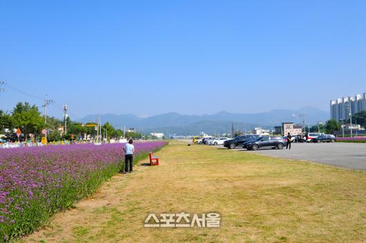 스포츠서울