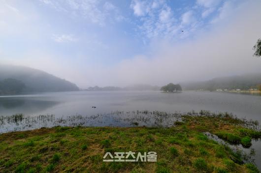 스포츠서울