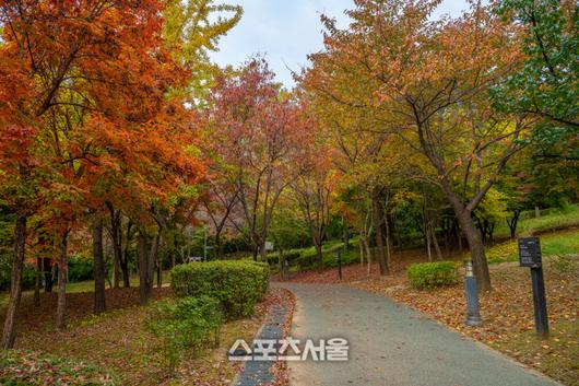 스포츠서울