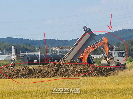 스포츠서울