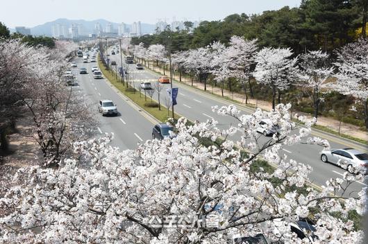 스포츠서울