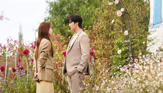 tvN ‘이번 생도 잘 부탁해’ 제공 | tvN