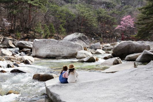 충북 단양 선암골생태유람길의 계곡.   사진 | 한국관광공사