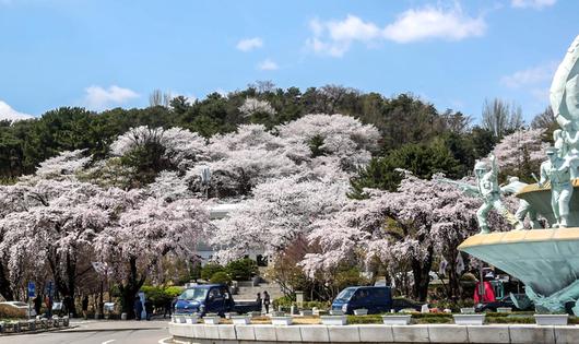 스포츠서울