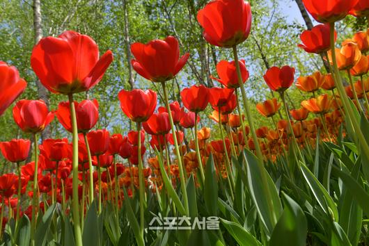 스포츠서울