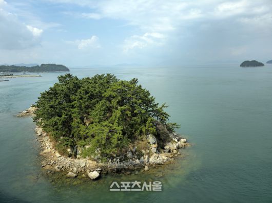 거금대교에서 바라보는 풍광은 사치스러울 정도로 아름답다. 무인도마저 한폭의 그림처럼 보인다. 이주상기자 rainbow@sportsseoul.com
