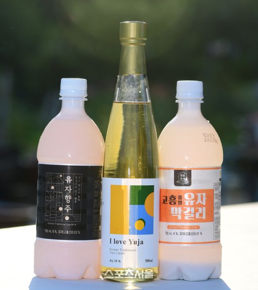 고흥군의 특산인 유자를 재료로 만든 풍양면 양조장의 와인과 막걸리. 이주상기자 rainbow@sportsseoul.com