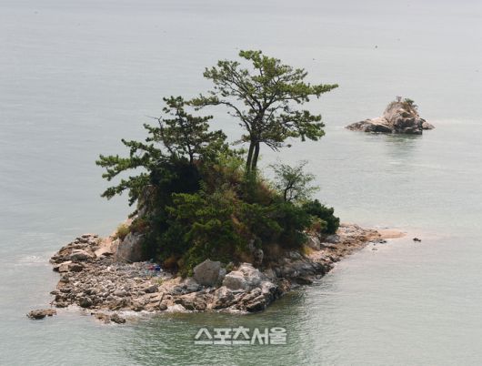 거금대교에서 바라보는 풍광은 사치스러울 정도로 아름답다. 무인도마저 한폭의 그림처럼 보인다. 이주상기자 rainbow@sportsseoul.com