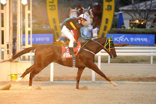 스포츠서울