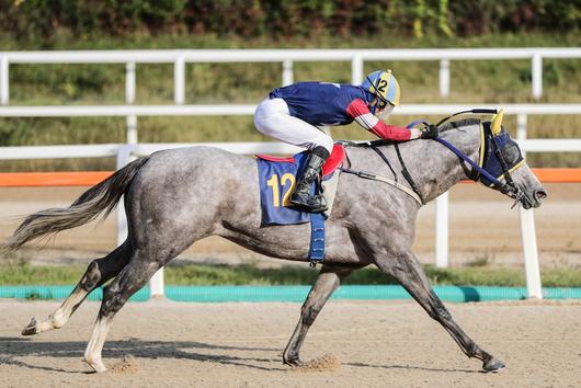 스포츠서울