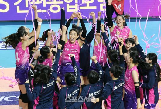 스포츠서울