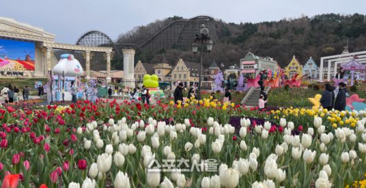 에버랜드 정원에 활짝 핀 튤립이 관람객을 맞이하고 있다. 용인 | 원성윤 기자 socool@sportsseoul.com