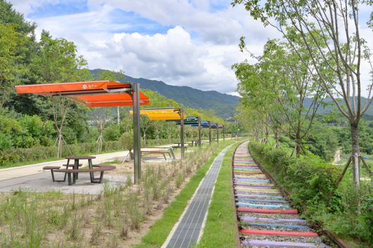 치악산 바람길숲.  사진|원주시청