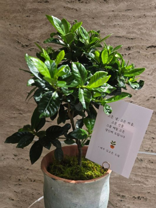 사진 | BH엔터테인먼트