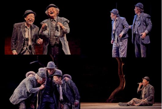 연극 ‘고도를 기다리며’ THE FINAL은 배우 신구와 박근형이 함께하는 마지막 무대다. 사진 | 파크컴퍼니