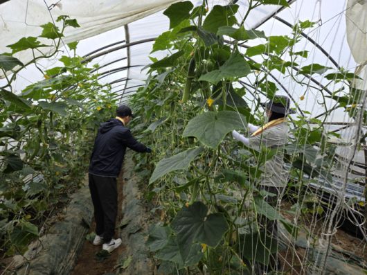 사진|강원특별자치도청