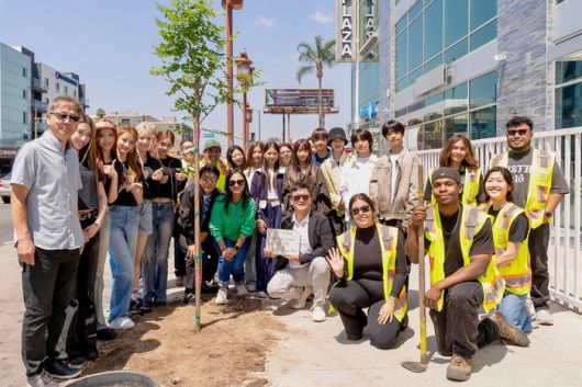 이수만의 나무심기 프로젝트. 사진 | A2O Entertainment