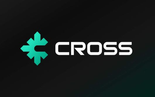 넥써쓰 자체 블록체인 플랫폼 ‘크로쓰’ 체인 이미지. 사진 | 넥써쓰