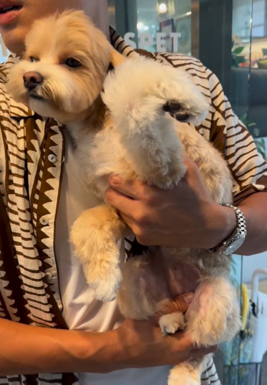 사진 | 한예슬 SNS