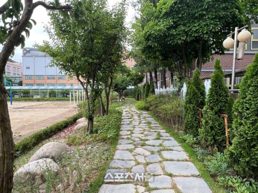 대안여중에 조성한 학교숲. 제공=안양시