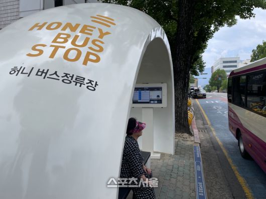 계란을 형상화한 허니 버스정류장. 구미 | 원성윤 기자 socool@sportsseoul.com