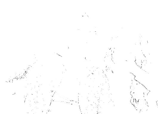 박보검-수지. 수지 인스타그램.