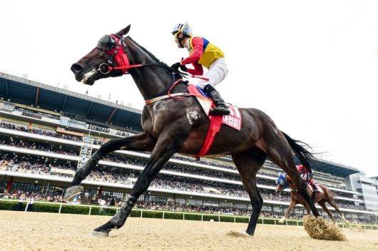 사진 | 한국마사회