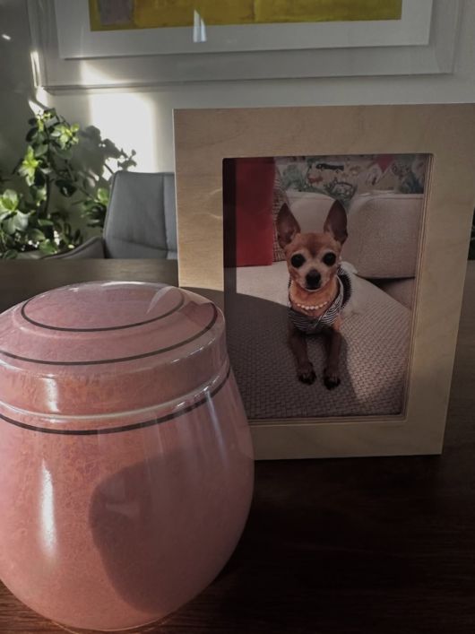 이민호 인스타그램.