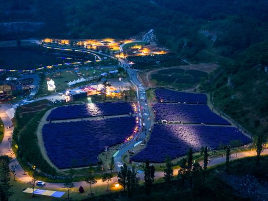 무릉별유천지 야간경관 조명쇼.  사진|동해시청