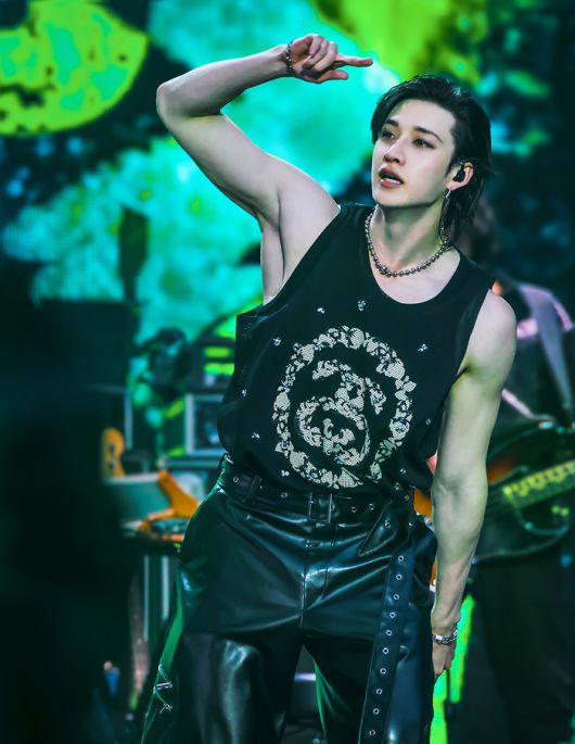 스트레이키즈가 프랑스 단독 공연을 성황리에 열었다. 사진 | JYP엔터테인먼트