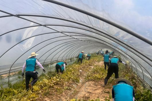 사진 | 한국마사회