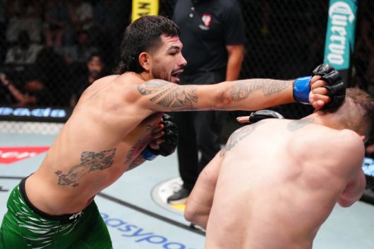 에르난데스가 돌리제에게 펀치공격을 하고 있다. 사진 | UFC