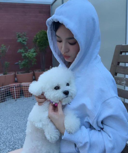 사진 | 송혜교 SNS