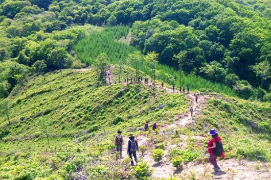 해안DMZ트래킹코스 시티투어.- 내용: 펀치볼둘레길 트래킹을 중심으로 안보관광지 관광 시티투어, 코스: 춘천역-양구명품관-DMZ펀치볼둘레길-중식(자율)-DMZ자생식물원-을지전망대-춘천역.  사진|양구군청