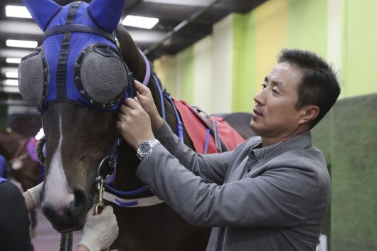 사진 | 한국마사회