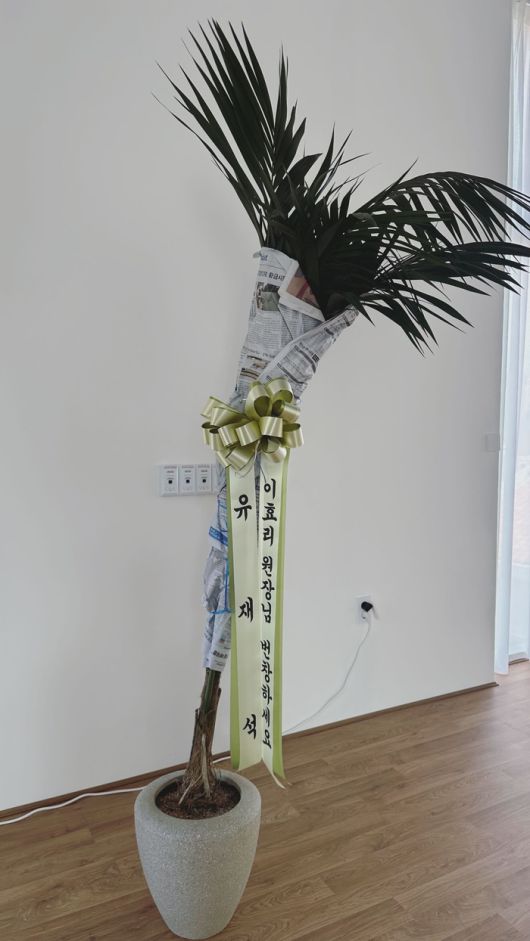 유재석이 보낸 축하 화분.  요가원 인스타그램.