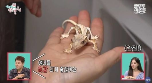 ‘전지적 참견 시점’. 사진|MBC