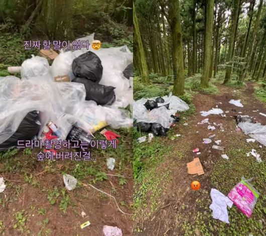 사진 | 온라인커뮤니티