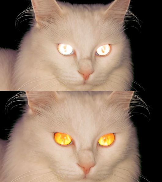 미야오. 사진 | 더블랙레이블