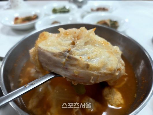 울진 우성식당 곰치국(물곰국). 울진 | 원성윤 기자 socool@sportsseoul.com