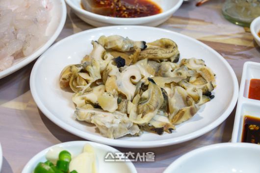 울진 공석횟집 소라. 울진 | 원성윤 기자 socool@sportsseoul.com