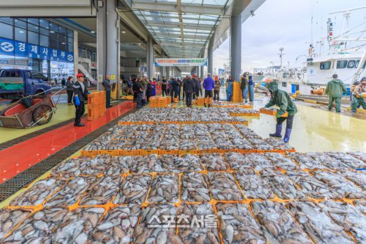 울진 죽변항 해산물위판. 울진 | 원성윤 기자 socool@sportsseoul.com