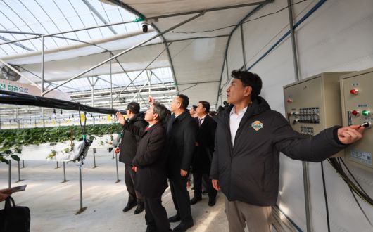 김진태 강원특별자치도지사가 7일  양구군 시설원예 농가를 방문해 한파와 폭설 대비 상황을 집중 점검하고 있다.  사진|강원특별자치도청