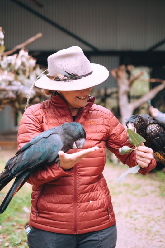 카라킨 와일드라이프 체험 – 퍼스, 서호주. 사진 | 호주관광청
