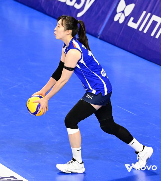 제공 | 한국배구연맹