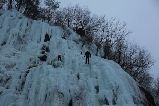 사진|강원특별자치도 소방본부 119환동해특수대응단