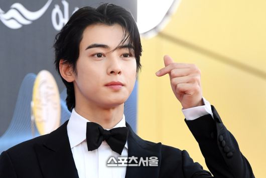 차은우. 사진 | 스포츠서울 DB